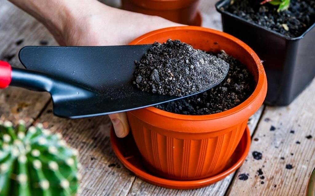 همشهری آنلاین