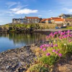 A fishing village behind a small harbour with pink flowers in the foreground.