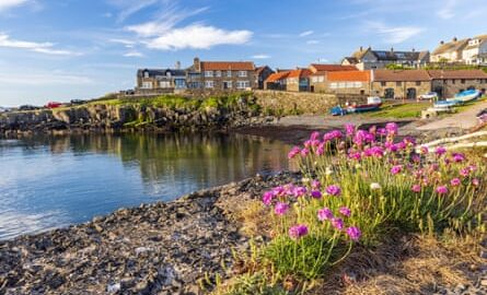 A fishing village behind a small harbour with pink flowers in the foreground.