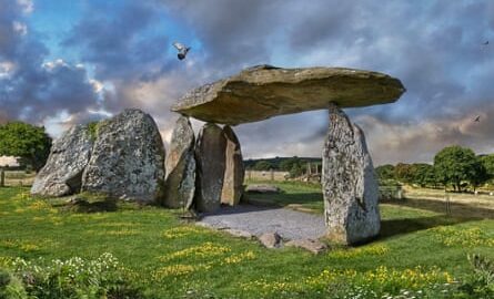 Standing stones in Wales and wildflowers