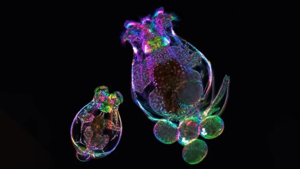 ScienceDaily