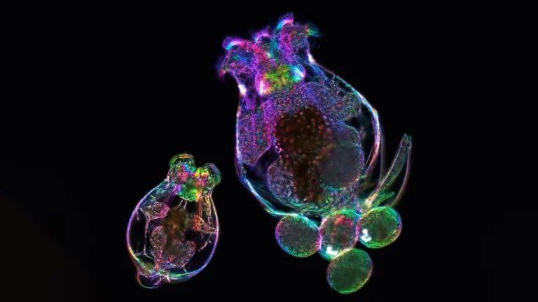 ScienceDaily