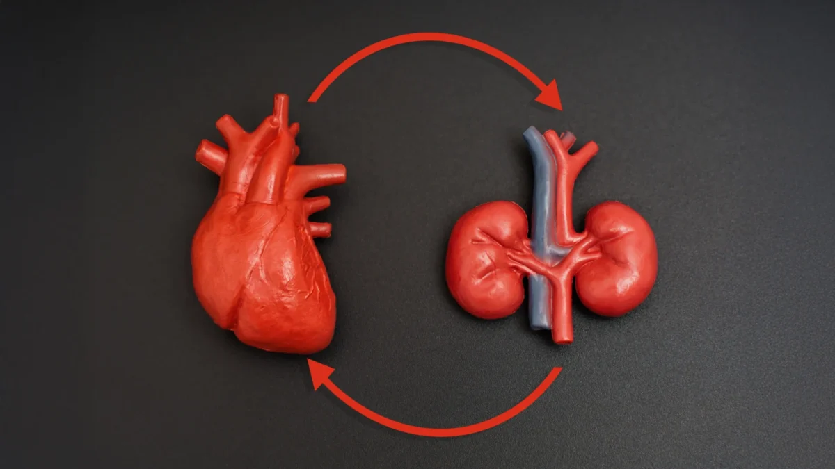 Heart and Kidney Disease Can Fuel Each Other