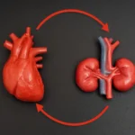 Heart and Kidney Disease Can Fuel Each Other