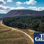 Cyclists on a path running by trees towards a loch in the Cairngorms