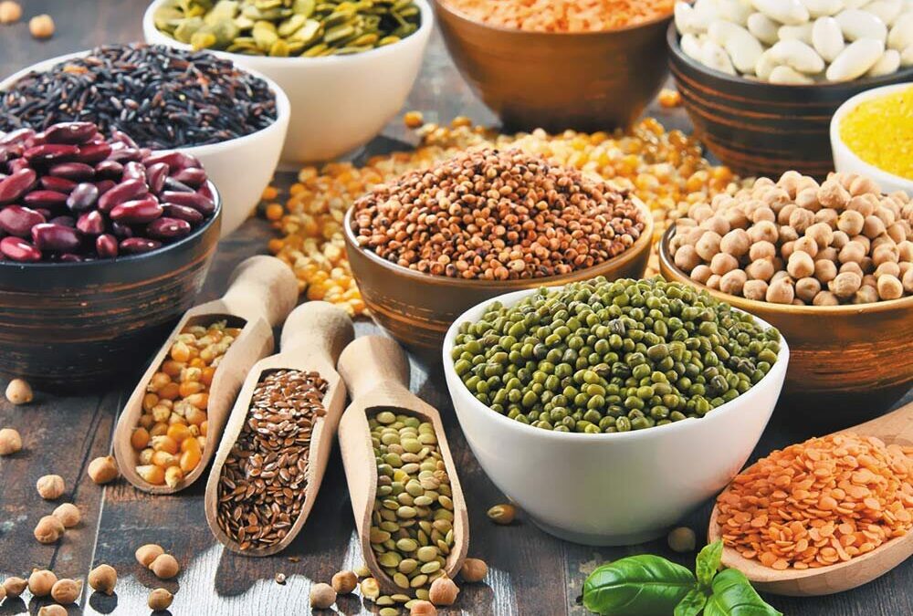 پروتئین گیاهی