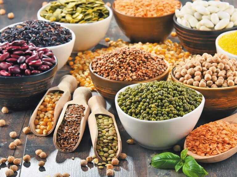 پروتئین گیاهی